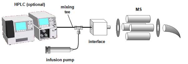 HPLC Solutions #5: LC-MS Calibration vs. Tuning HPLC Solutions #5: LC-MS Calibration vs. Tuning