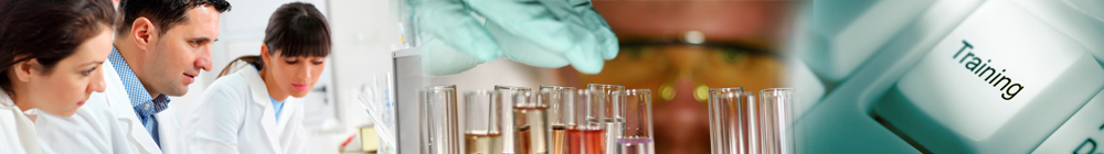 Your route to success in biopharmaceutical HPLC analysis