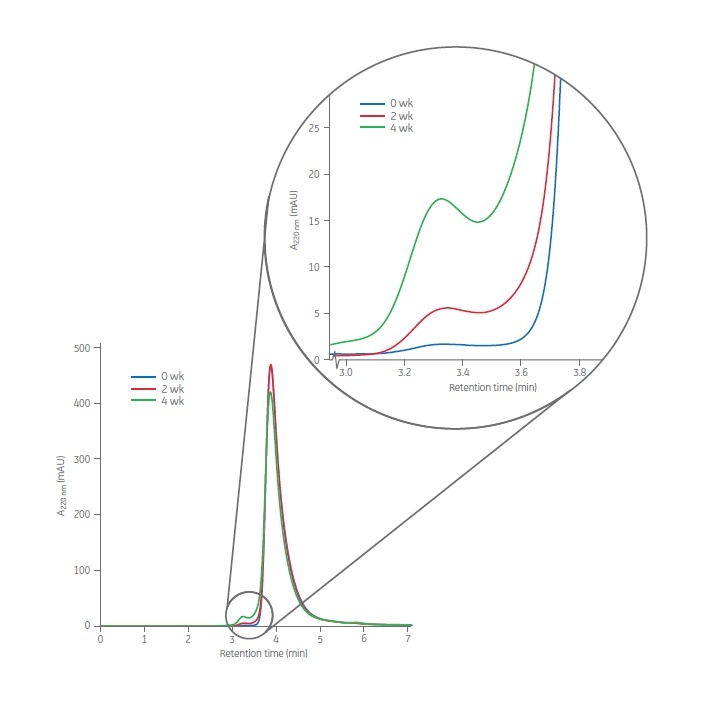 Visit the Protein Analysis with SEC Portal