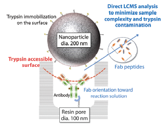 analysis-of-trastuzumab.png